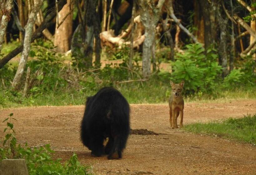 Hotel Wilpattu Tree House