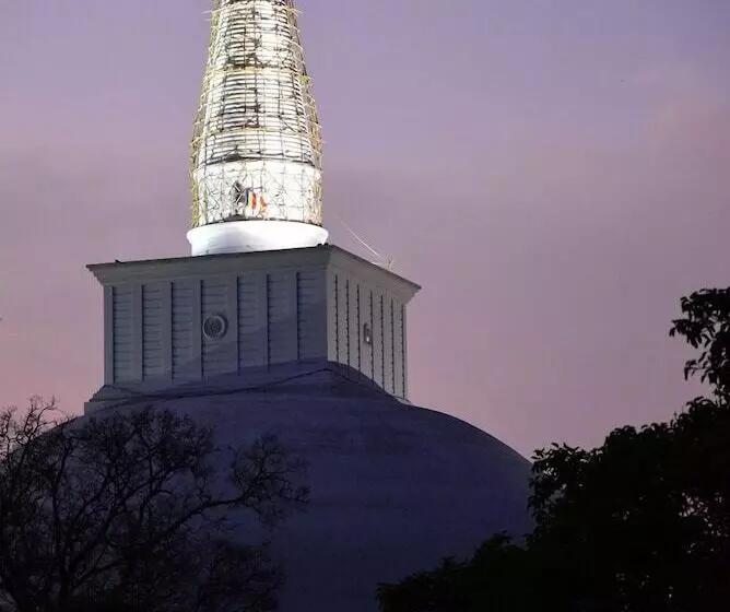 Hotelli Wilpattu Tree House