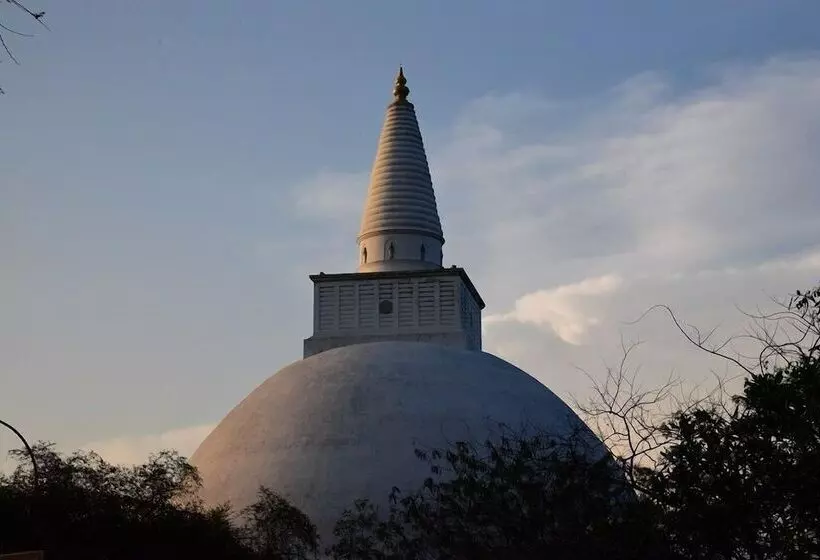 Hotelli Wilpattu Tree House