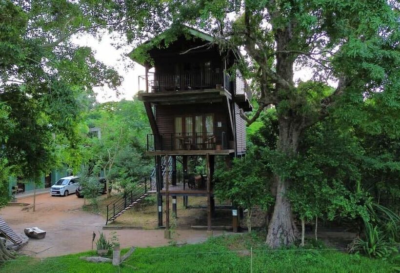 Hotel Wilpattu Tree House