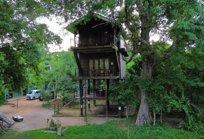 Hotelli Wilpattu Tree House