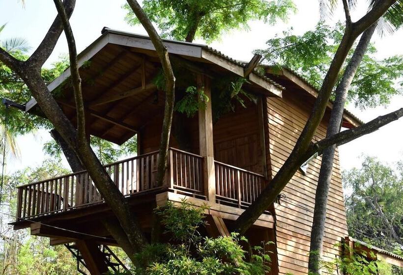 Hotel Wilpattu Tree House
