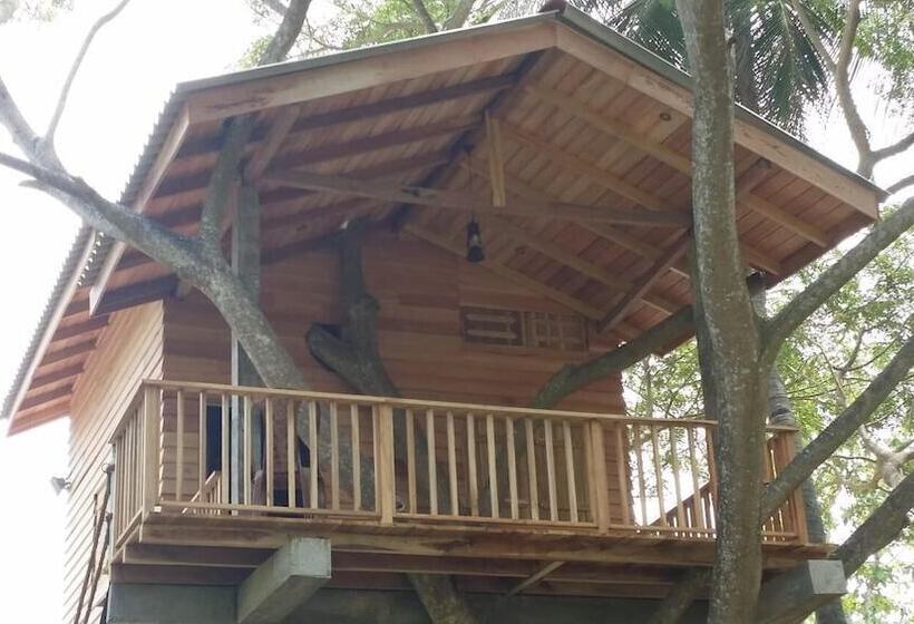 Hotel Wilpattu Tree House