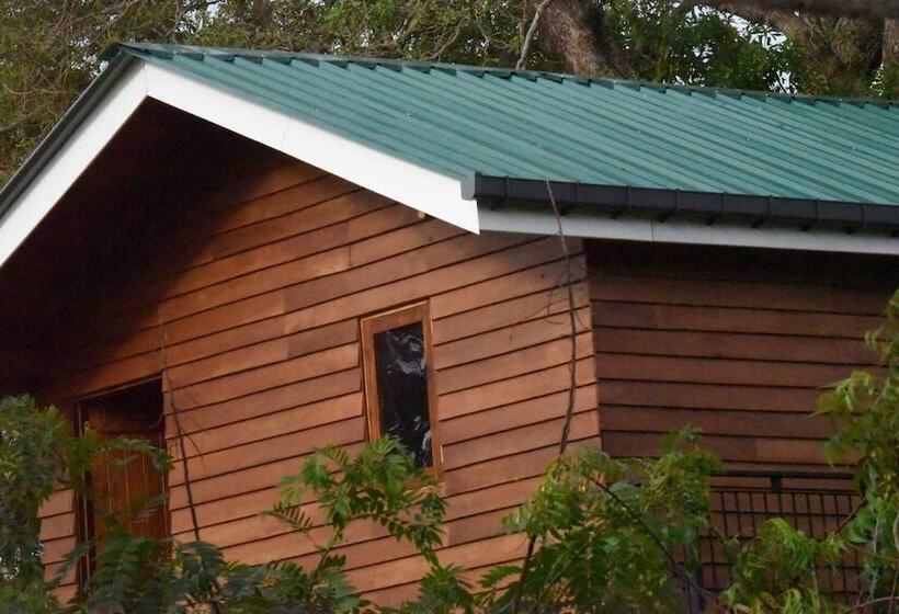 Hotel Wilpattu Tree House