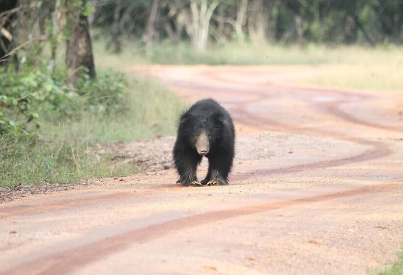 Hotel Wilpattu Tree House