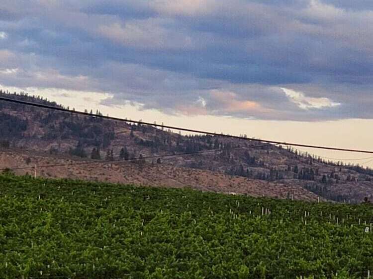 Uncorked Bed & Breakfast