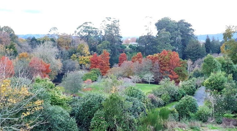 Hidden Lake Hotel & Apartments