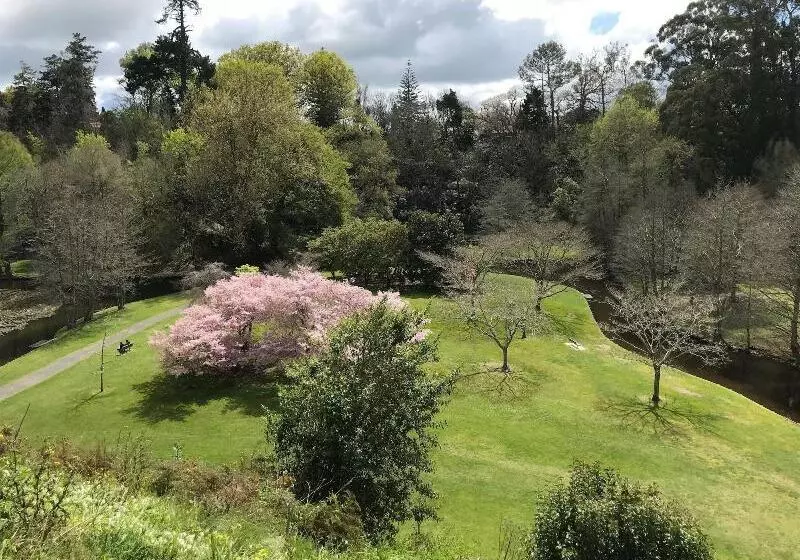 Hidden Lake Hotel & Apartments