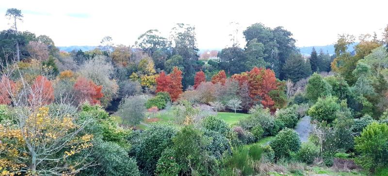 Hidden Lake Hotel & Apartments