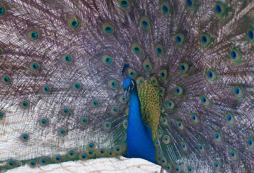 هتل روستایی Agriturismo Arte Contadina