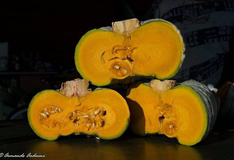 هتل روستایی Agriturismo Arte Contadina