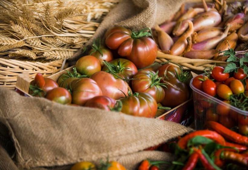 هتل روستایی Agriturismo Arte Contadina