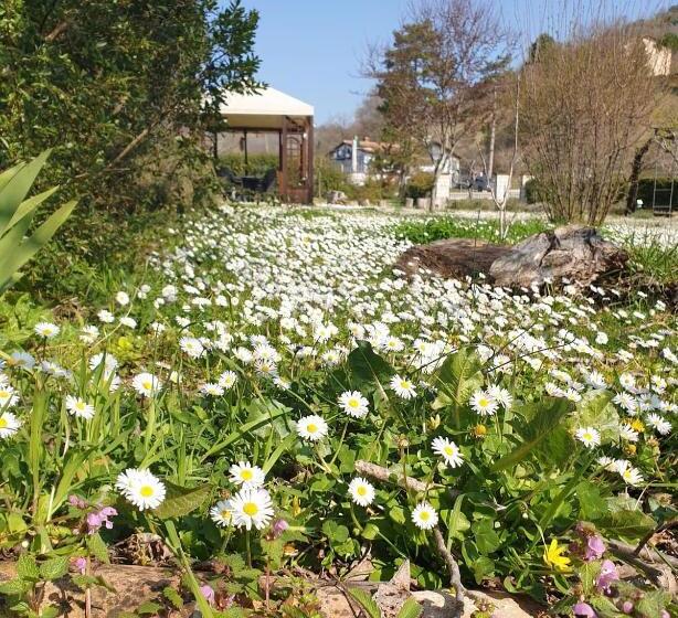 교외 호텔 Domus Laetitiae Santa Croce