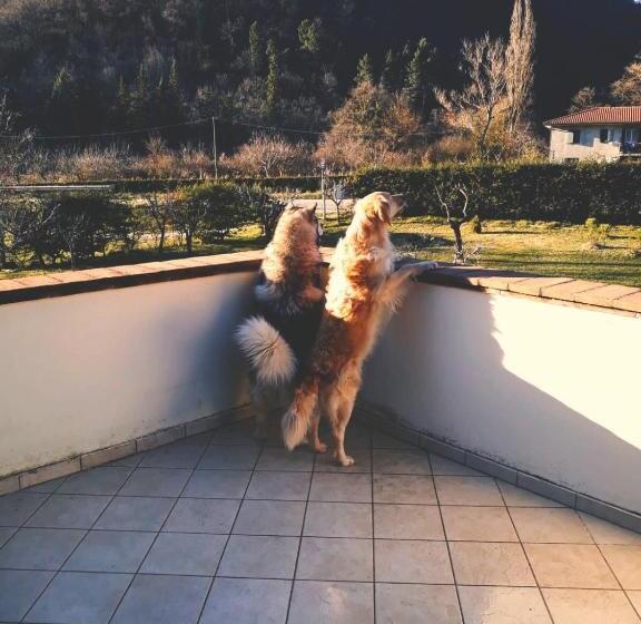 교외 호텔 Domus Laetitiae Santa Croce