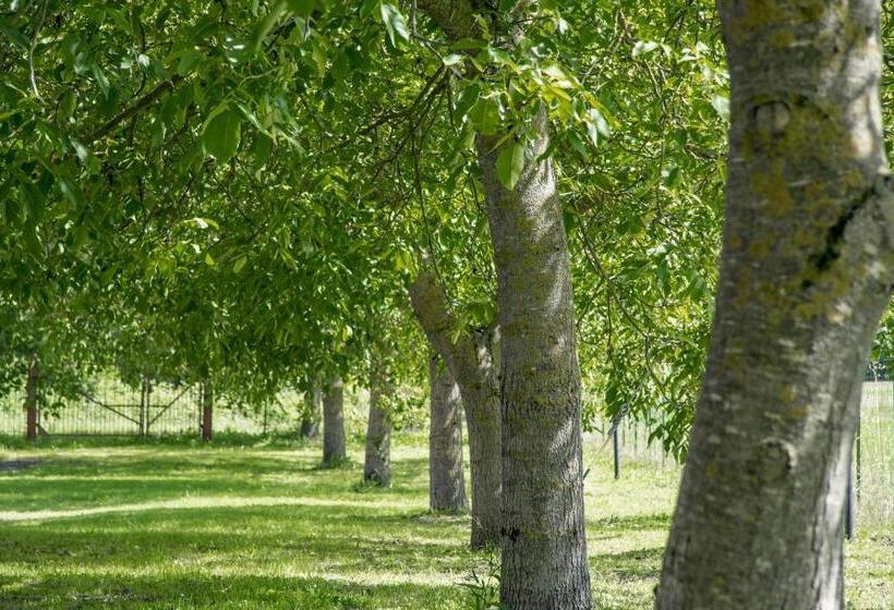 교외 호텔 Domus Laetitiae Santa Croce