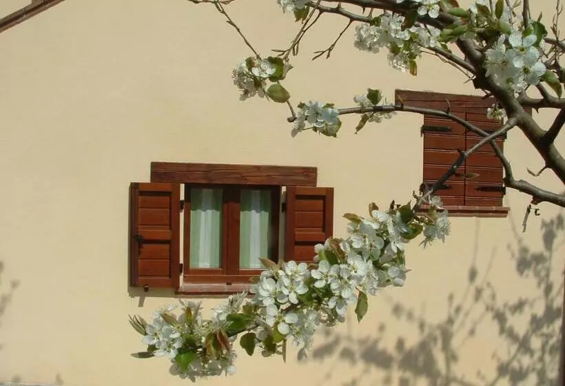 田舎風ホテル Domus Laetitiae Santa Croce