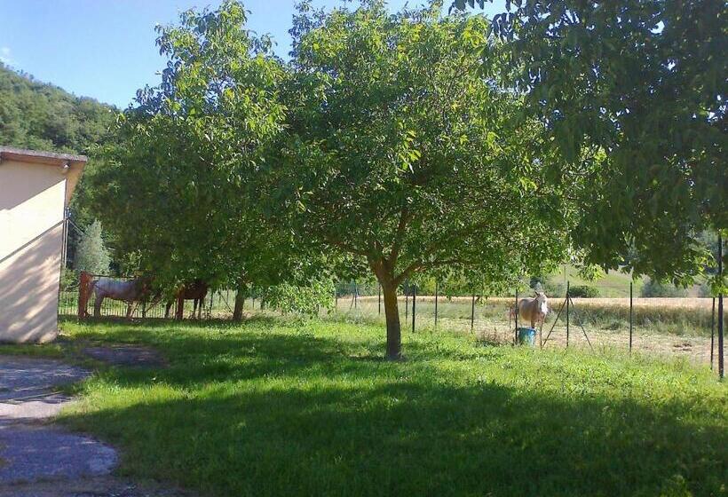 교외 호텔 Domus Laetitiae Santa Croce