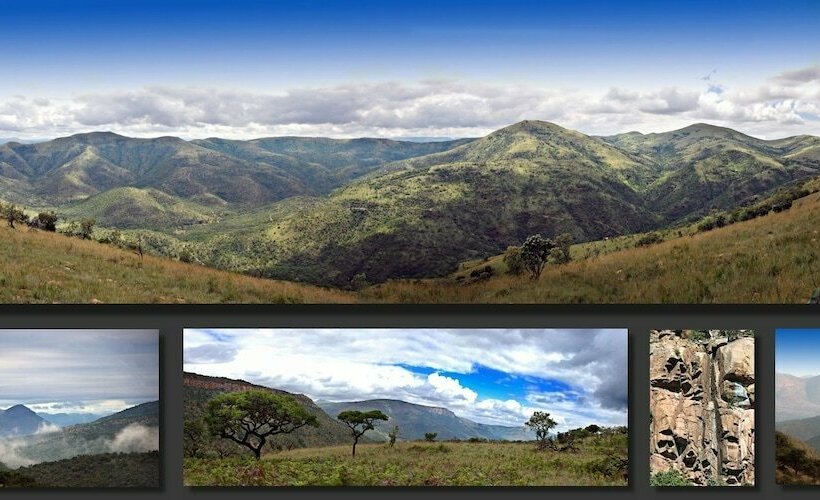 בית מלון כפרי Black Leopard Camp