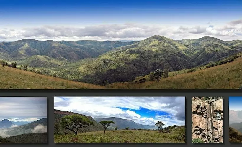 Hotelli Black Leopard Camp