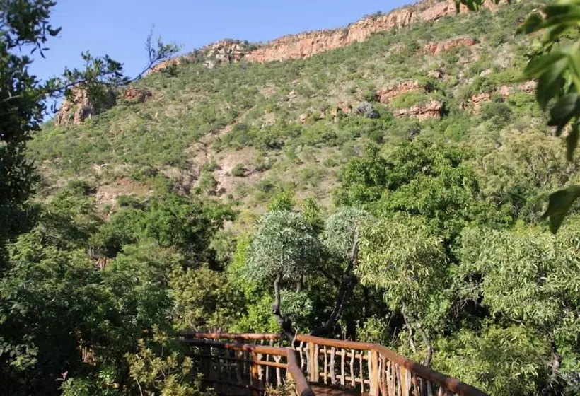 Hotelli Black Leopard Camp