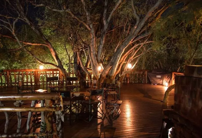 Hotelli Black Leopard Camp