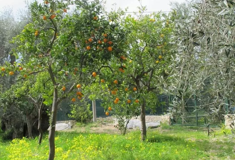 هتل روستایی Tenuta Santa Maria