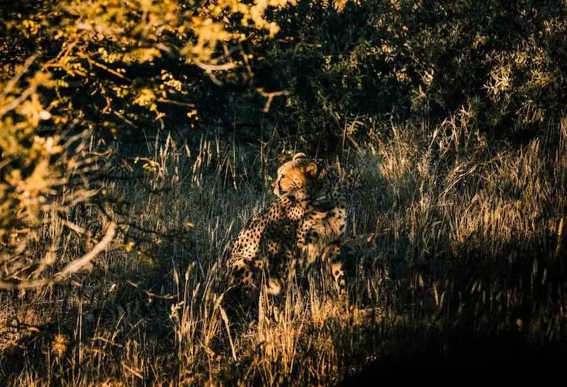 هتل Zannier Omaanda