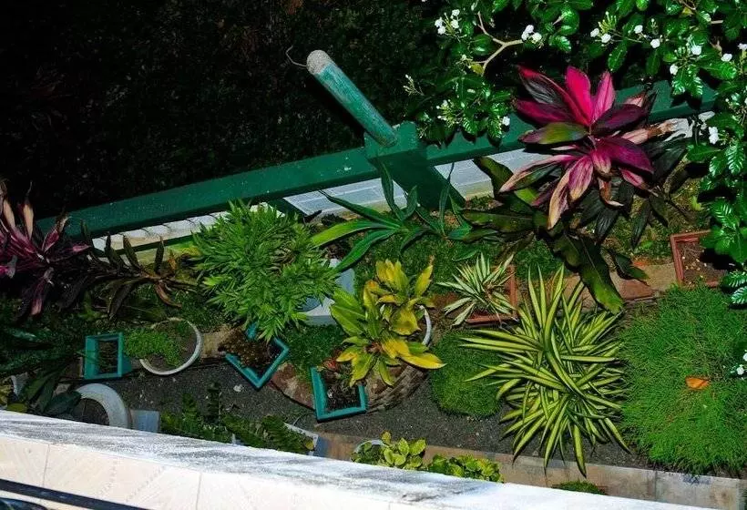 Aamiaismajoitus (B&B) Myro Homestay