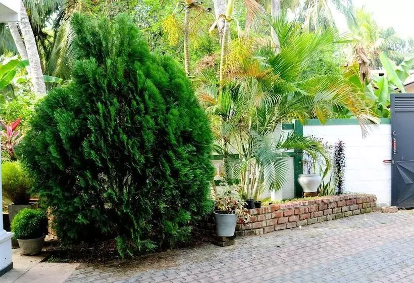 Aamiaismajoitus (B&B) Myro Homestay