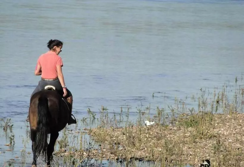 ホテル Quinta De Coalhos Th