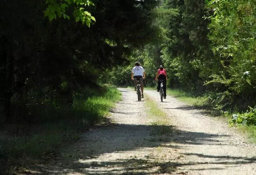 ホテル Quinta De Coalhos Th