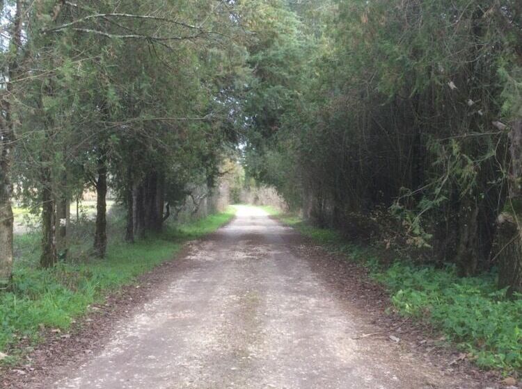 هتل Quinta De Coalhos Th