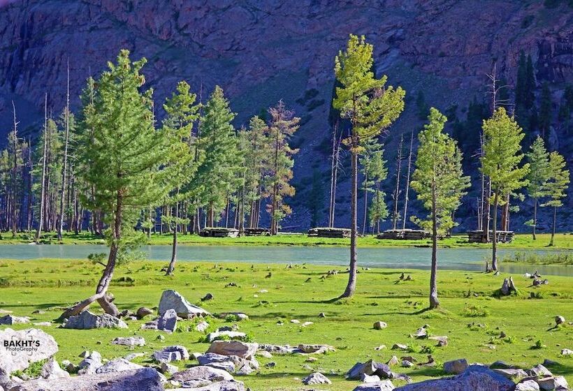 Hotel Shelton Rezidor Swat