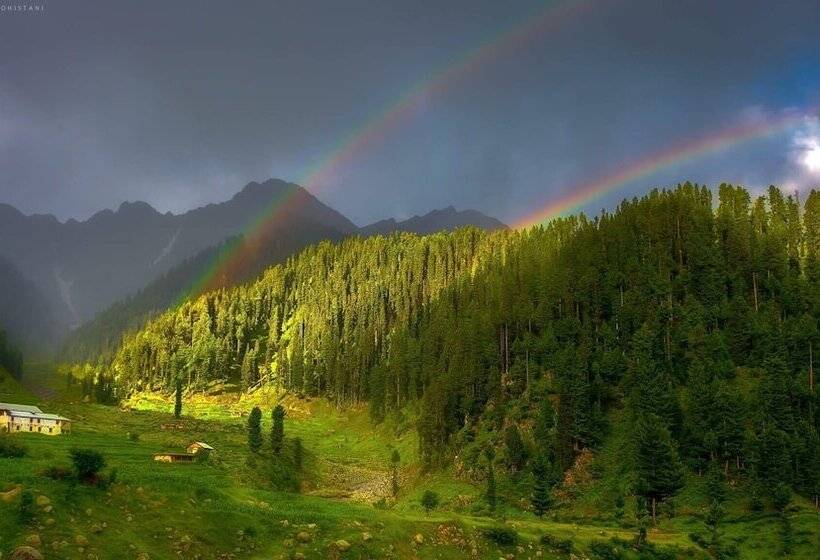 Hotel Shelton Rezidor Swat