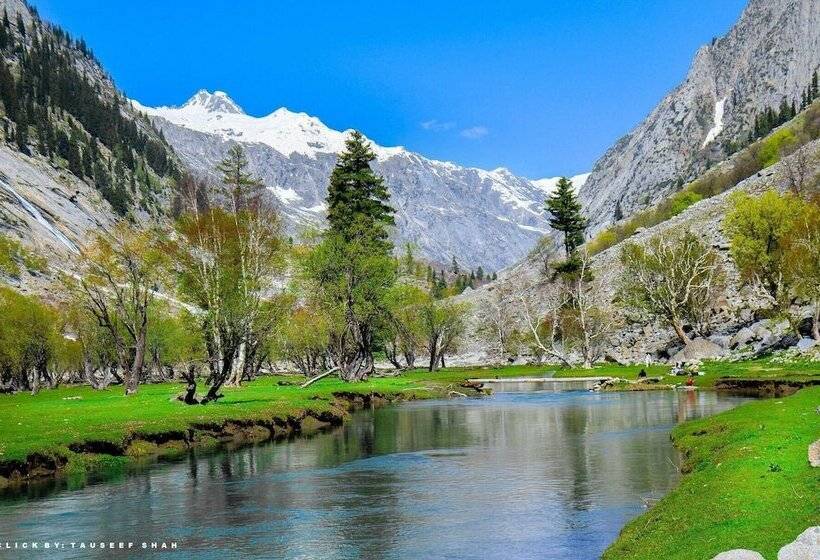 Hotel Shelton Rezidor Swat