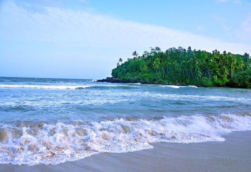 پانسیون Tamasha Mango House