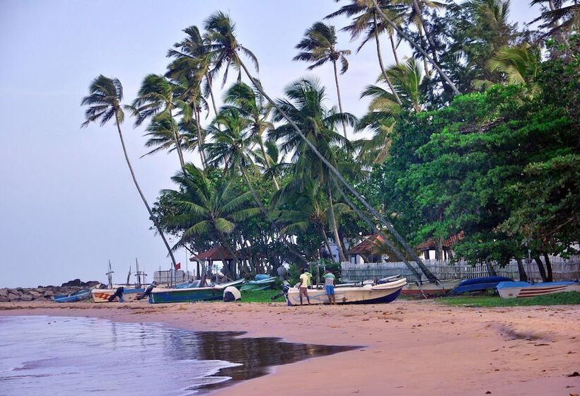 پانسیون Tamasha Mango House