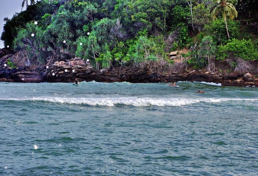 پانسیون Tamasha Mango House