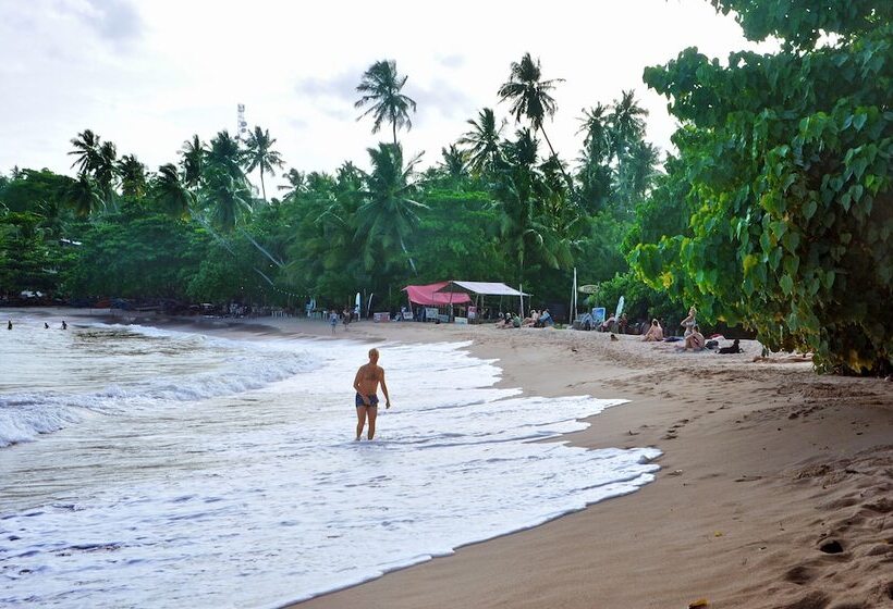 پانسیون Tamasha Mango House