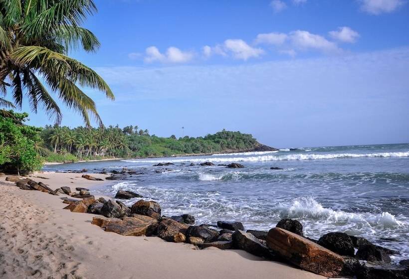 پانسیون Tamasha Mango House