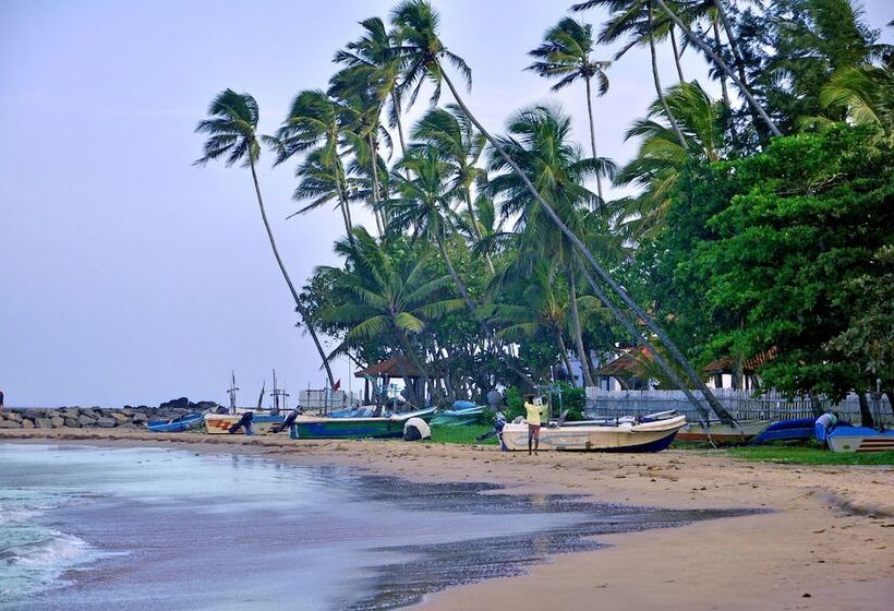 پانسیون Tamasha Mango House