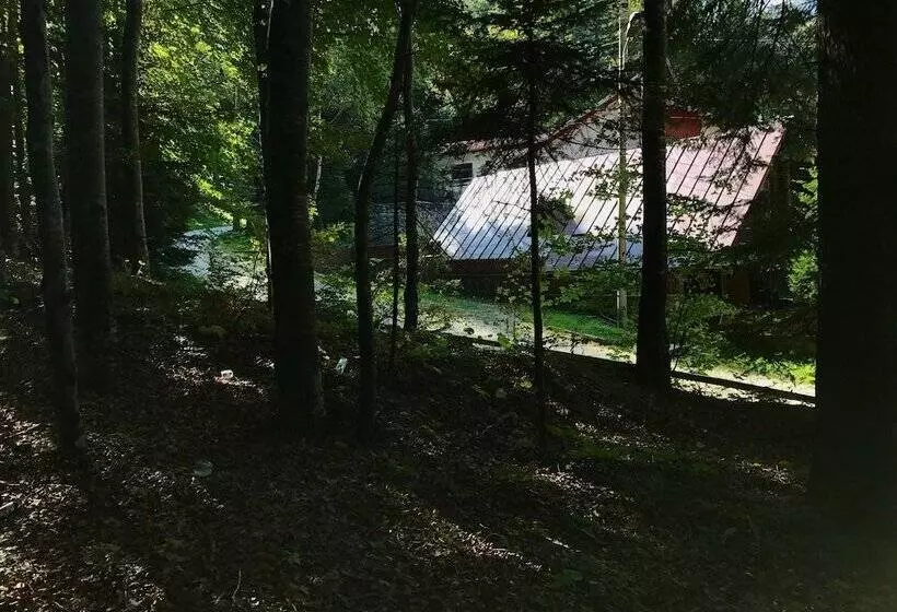 Casita Del Bosque