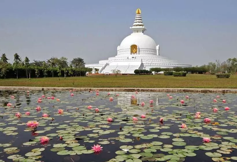 هتل Mamata