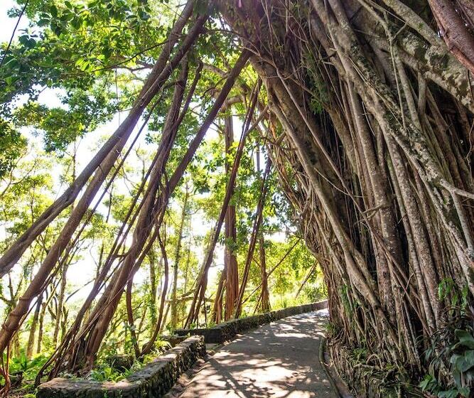 هتل Palau Carolines Resort