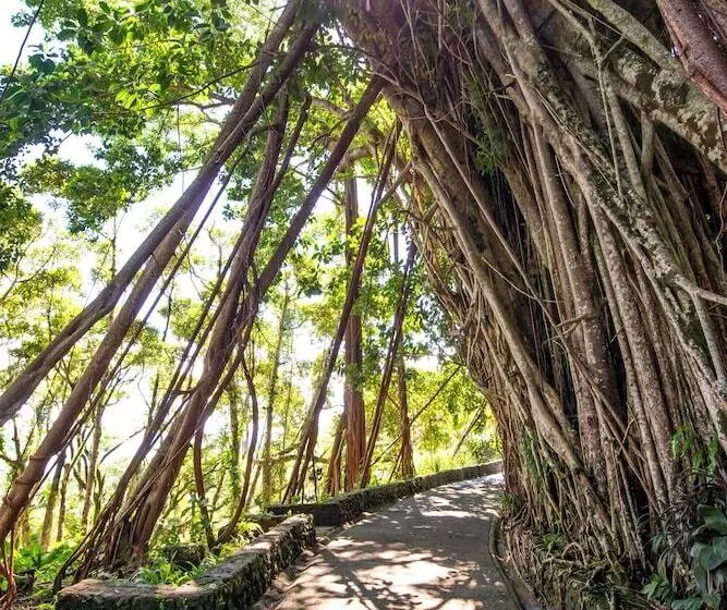 هتل Palau Carolines Resort