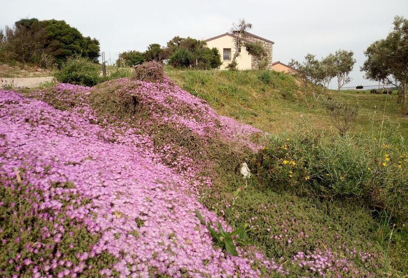 Сельский отель Tenuta Petra Bianca