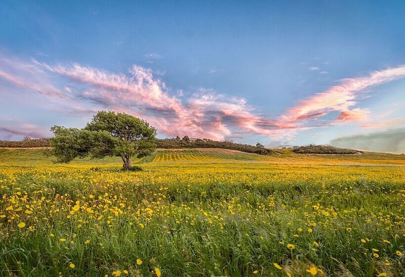 Сельский отель Tenuta Petra Bianca