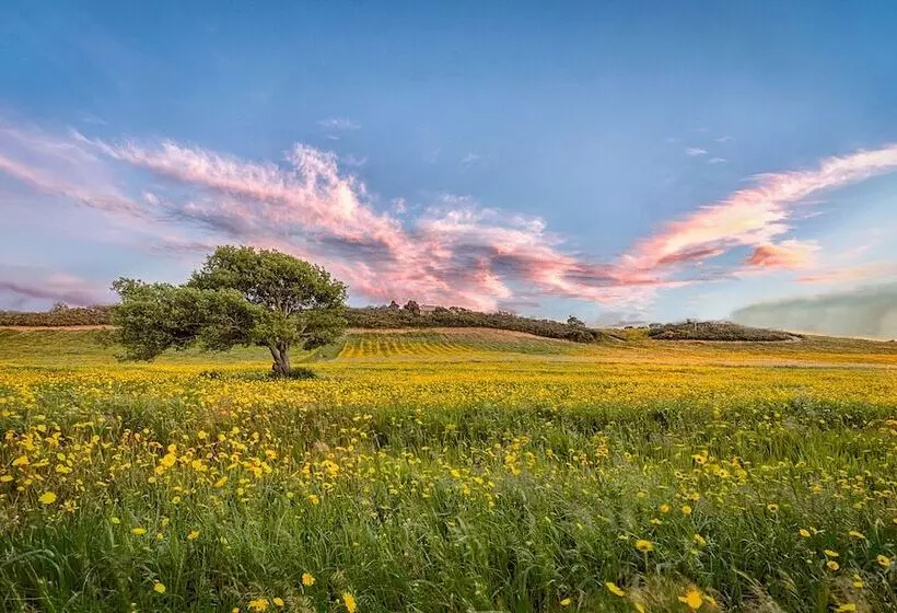 هتل روستایی Tenuta Petra Bianca