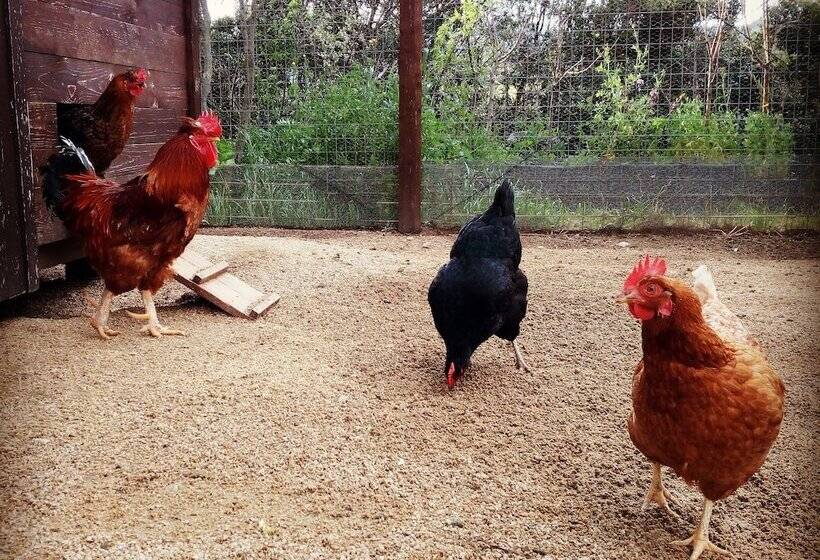 Сельский отель Tenuta Petra Bianca