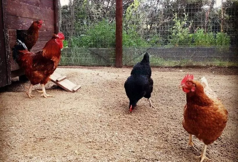 هتل روستایی Tenuta Petra Bianca